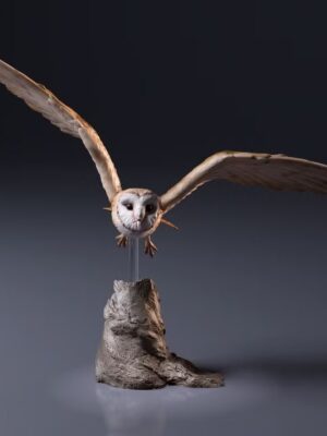 Une figurine chouette effraie en vol à peindre, avec les ailes largement déployées, montrant tous les détails texturés de ses plumes.