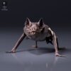 figurine-chauve-souris-vampire-face Figurine à peindre Chauve-souris Vampire Terrestre Impression Résine Échelle 1/2 Pamkycréa
