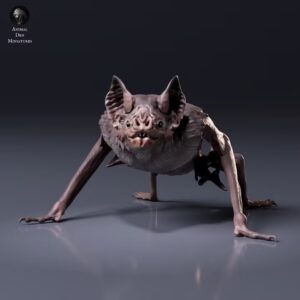 Figurine à peindre Chauve-souris Vampire Terrestre Impression Résine Échelle 1/2 Pamkycréa