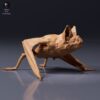 common_vampire_bat_4_11zon Figurine à peindre Chauve-souris Vampire Terrestre Impression Résine Échelle 1/2 Pamkycréa