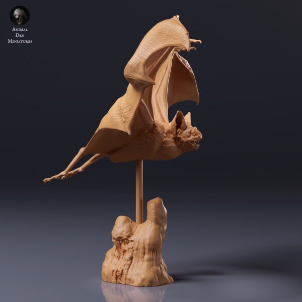 Vue de profil de la chauve-souris vampire suspendue en plein vol grâce à sa tige fixée sur un socle imitant la roche.